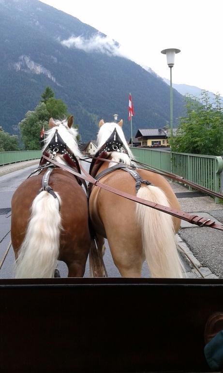 Appartamento Bergblick Golling an der Salzach Esterno foto