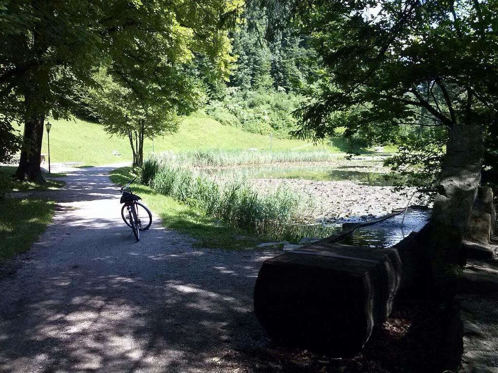 Appartamento Bergblick Golling an der Salzach Esterno foto