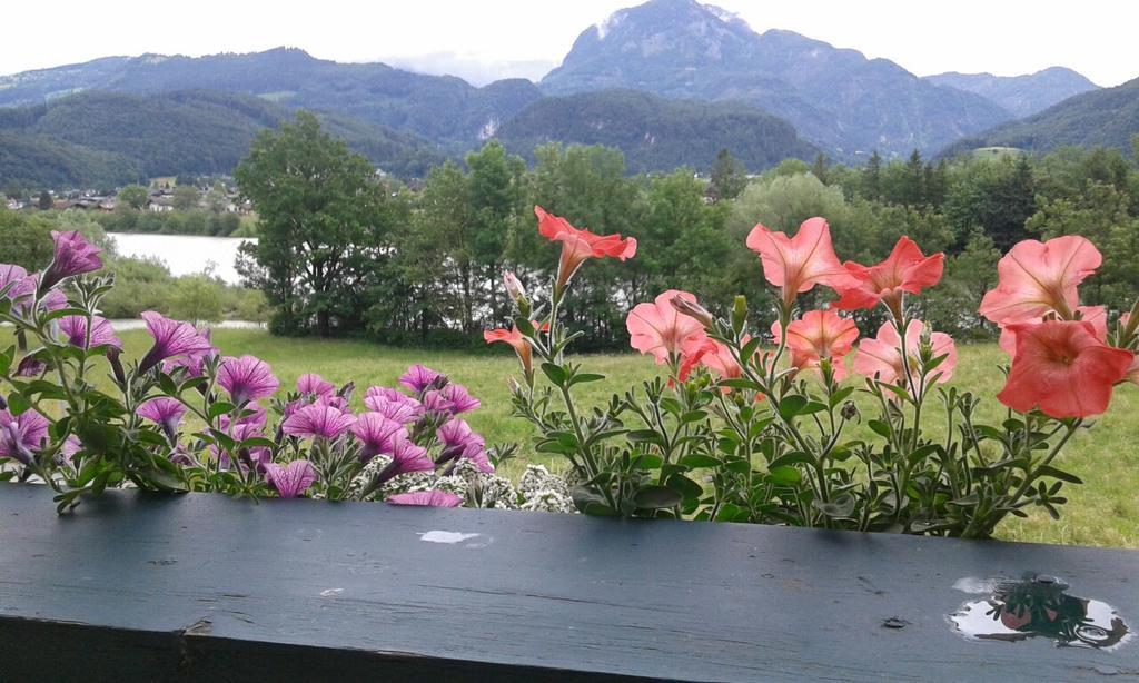 Appartamento Bergblick Golling an der Salzach Esterno foto