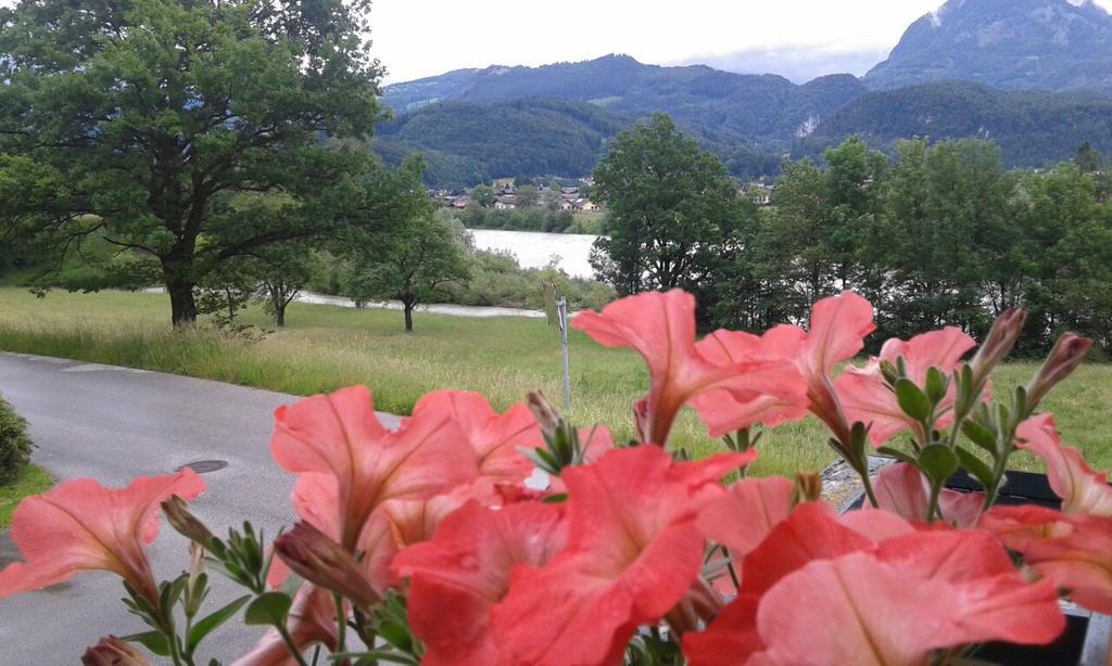 Appartamento Bergblick Golling an der Salzach Esterno foto